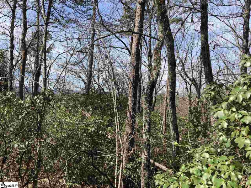 Property image 3 at 00 Stone Terrace Way, Salem, SC 29676