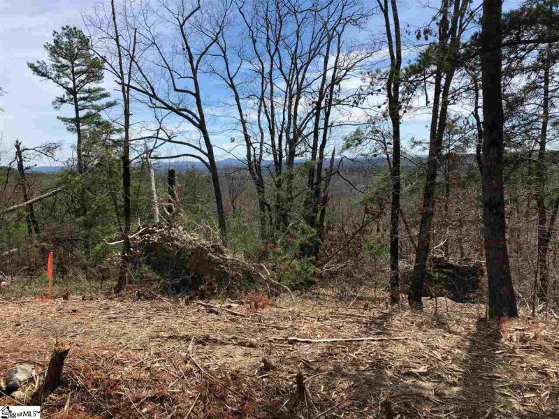 Property image 2 at 00 Stone Terrace Way, Salem, SC 29676