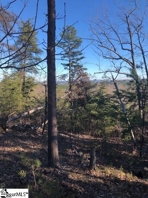 Property image 2 at 00 Stone Terrace Way, Salem, SC 29676