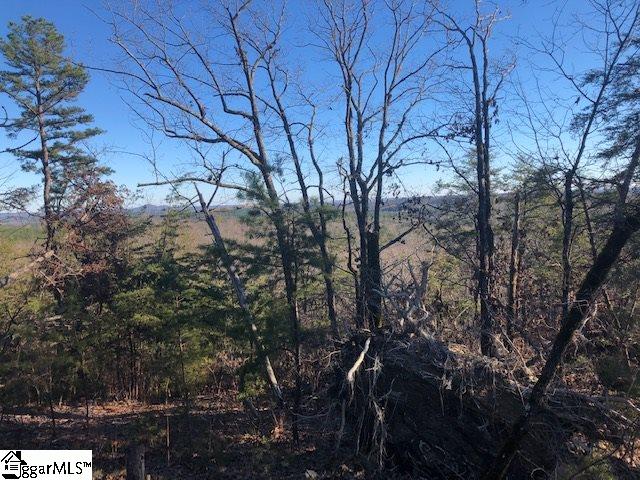 Property image 3 at 00 Stone Terrace Way, Salem, SC 29676