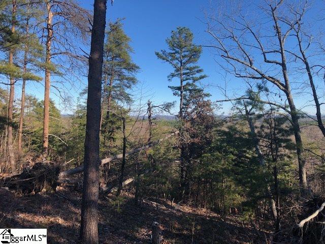 Property image 5 at 00 Stone Terrace Way, Salem, SC 29676