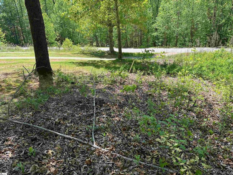 Property image 2 of 39 Timberline Drive in Cherokee Valley, Travelers Rest, SC 29690