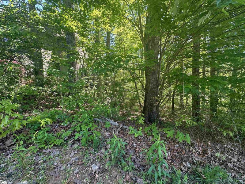 Property image 3 of 39 Timberline Drive in Cherokee Valley, Travelers Rest, SC 29690