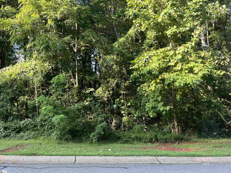304 Laurel Valley Way