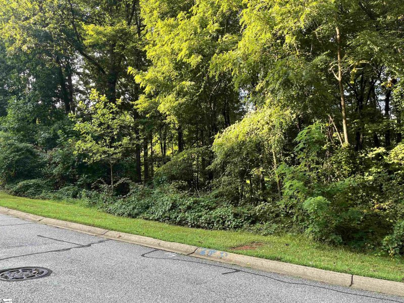 Property image 3 at 304 Laurel Valley Way, Travelers Rest, SC 29690