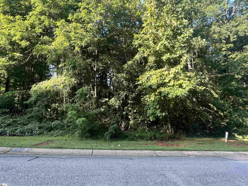 Property image 4 at 304 Laurel Valley Way, Travelers Rest, SC 29690