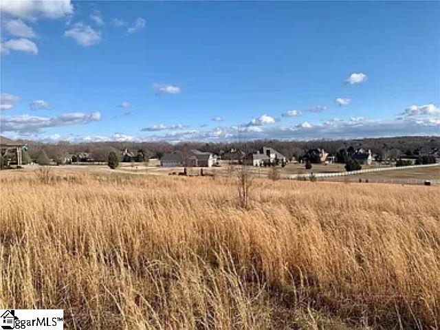 Property image 2 at 208 Chestnut Springs Way, Williamston, SC 29697