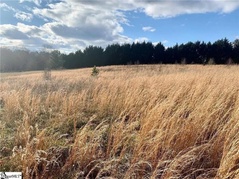 Property image 3 at 208 Chestnut Springs Way, Williamston, SC 29697