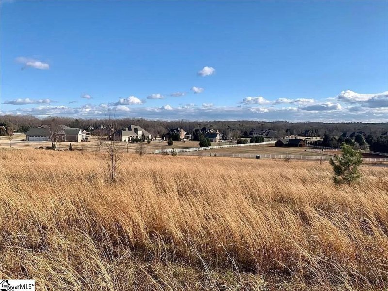 Property image 4 at 208 Chestnut Springs Way, Williamston, SC 29697