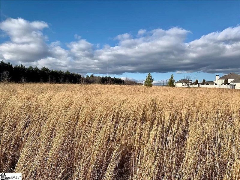 Property image 5 at 208 Chestnut Springs Way, Williamston, SC 29697