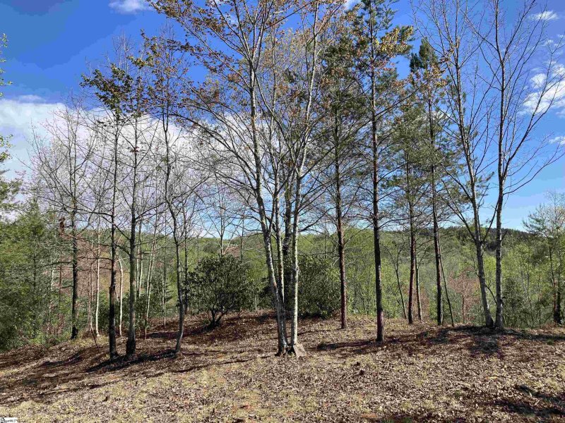 Property image 2 of 775 Blue Bonnet Trail in The Cliffs at Mountain Park, Marietta, SC 29661