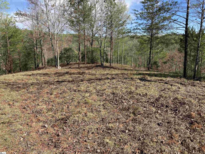 Property image 3 of 775 Blue Bonnet Trail in The Cliffs at Mountain Park, Marietta, SC 29661