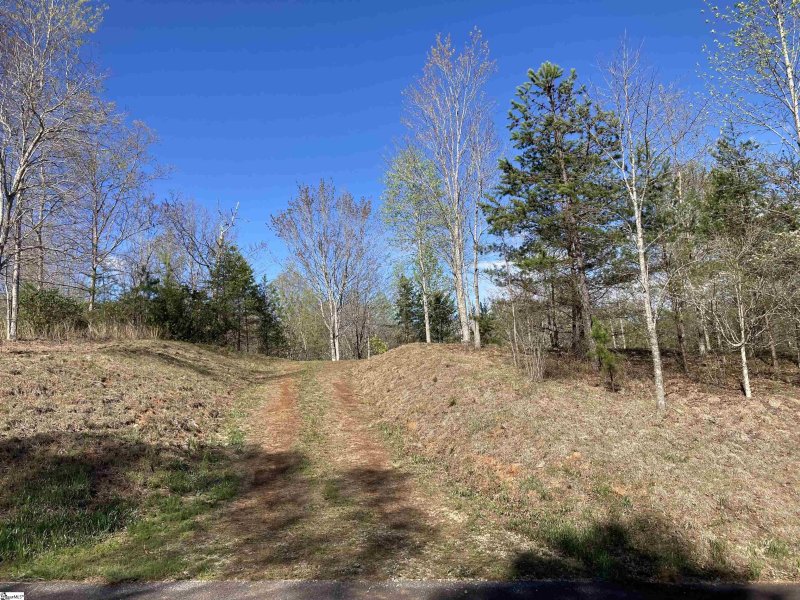 Property image 4 of 775 Blue Bonnet Trail in The Cliffs at Mountain Park, Marietta, SC 29661