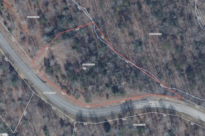 Property image 5 of 775 Blue Bonnet Trail in The Cliffs at Mountain Park, Marietta, SC 29661