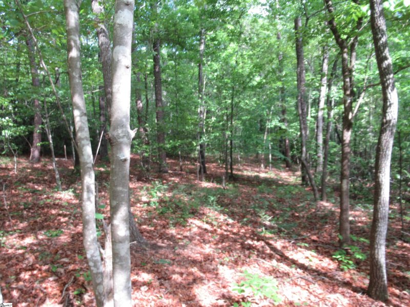 Property image 2 at 0 Raven Court, Cleveland, SC 29635