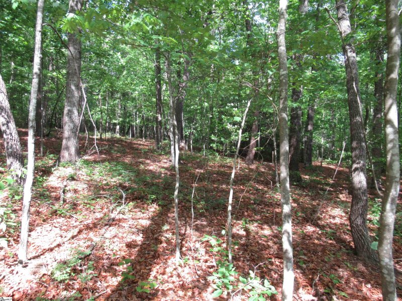 Property image 3 at 0 Raven Court, Cleveland, SC 29635