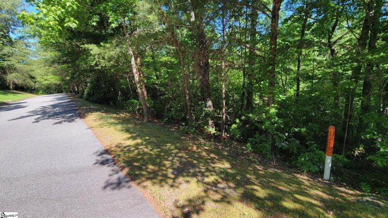Property image 3 of 11 Terra Trace Way in Garrenterra, Travelers Rest, SC 29690