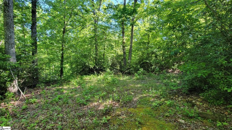 Property image 5 of 11 Terra Trace Way in Garrenterra, Travelers Rest, SC 29690