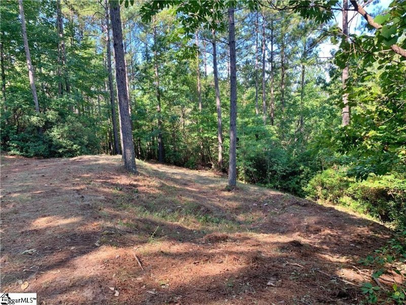 Property image 5 at 113 Stone Cove Road, Sunset, SC 29685