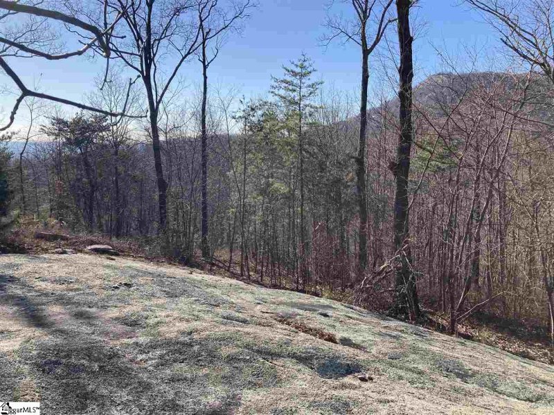 Property image 3 of 16 Heather Hill Lane in The Cliffs at Glassy, Landrum, SC 29356