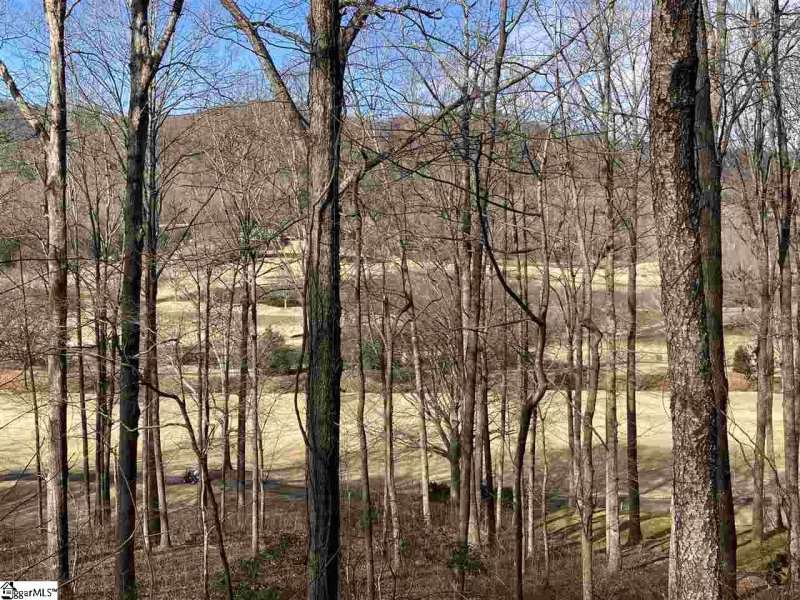 Property image 2 of 115 Foxboro Road in Cliffs Valley, Travelers Rest, SC 29690