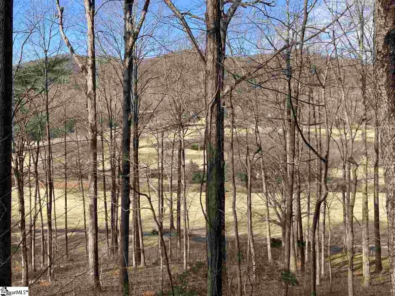 Property image 3 of 115 Foxboro Road in Cliffs Valley, Travelers Rest, SC 29690