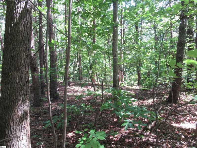 Property image 3 at 221 River Bluff Road, Cleveland, SC 29635