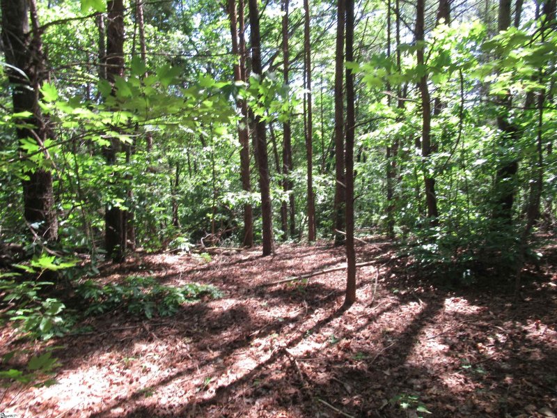 Property image 4 at 221 River Bluff Road, Cleveland, SC 29635