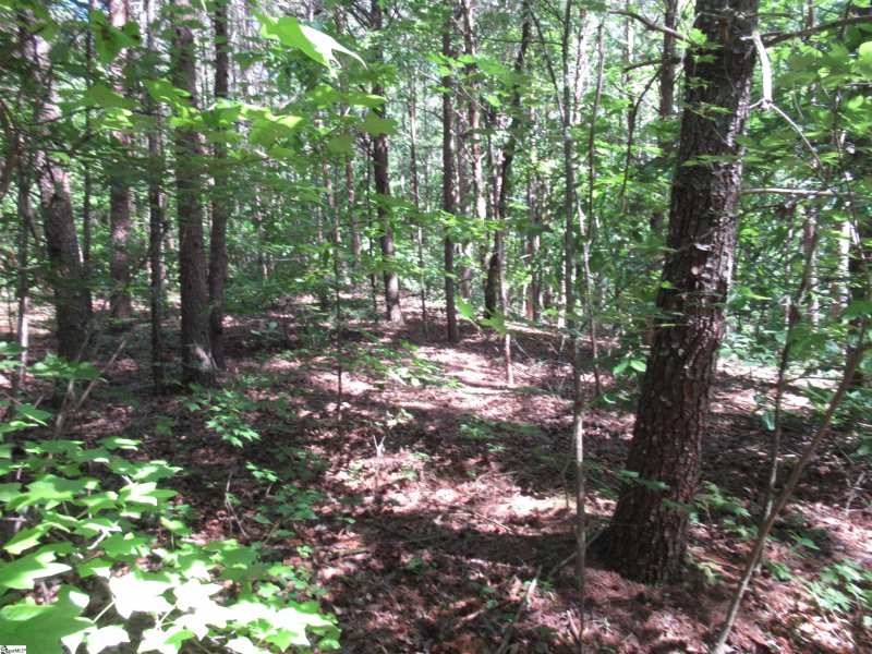 Property image 5 at 221 River Bluff Road, Cleveland, SC 29635