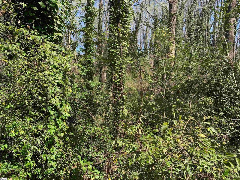 Property image 3 at 632 Perrin Drive, Spartanburg, SC 29307