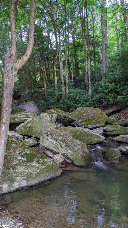 Property image 4 at 9 Doverdale Road, Greenville, SC 29615