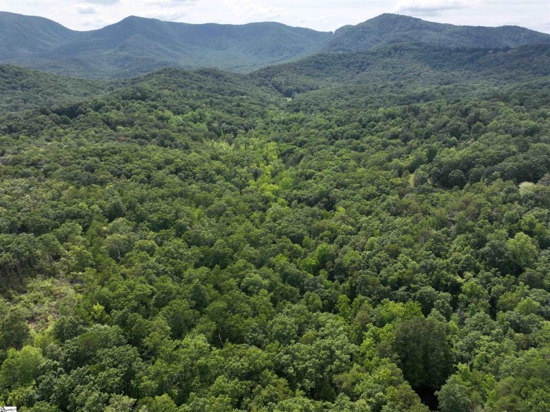 Property image 3 at 200 Maxorrick Loop, Landrum, SC 29356