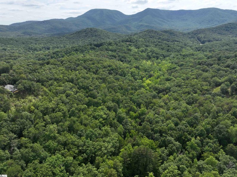 Property image 4 at 200 Maxorrick Loop, Landrum, SC 29356