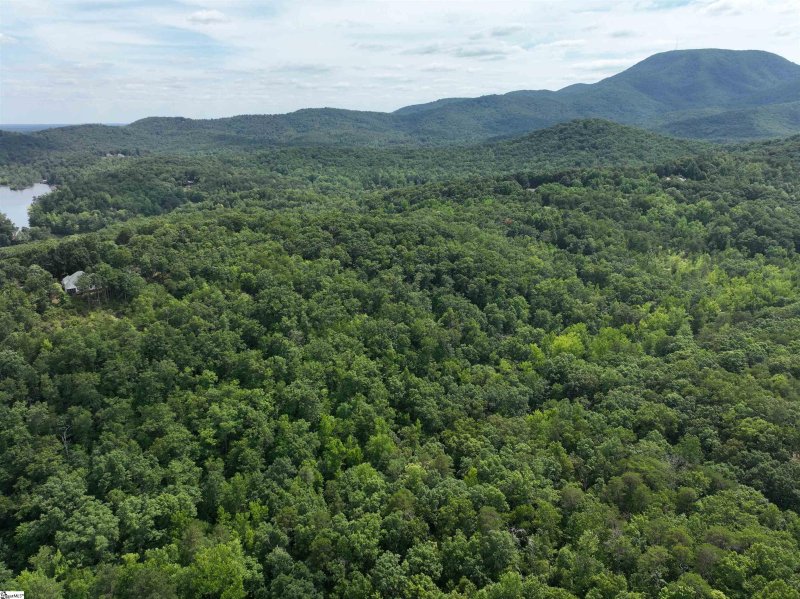 Property image 5 at 200 Maxorrick Loop, Landrum, SC 29356