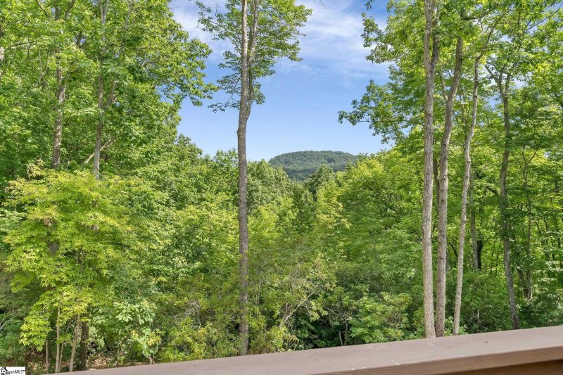 Property image 3 at 6 Cedar Waxwing Way, Marietta, SC 29661