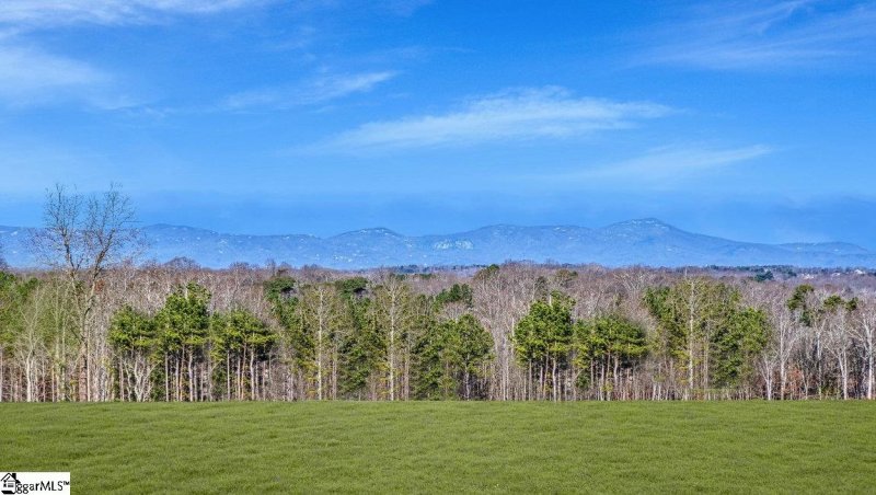 Property image 3 at 234 Sunriff Court, Greer, SC 29651