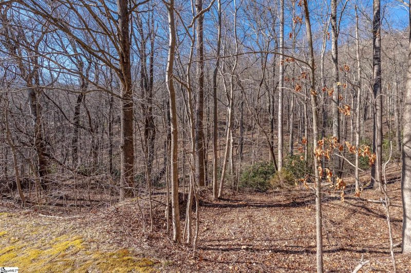 Property image 2 of 224 Southview Ledge Road in The Cliffs at Glassy, Landrum, SC 29356-3329