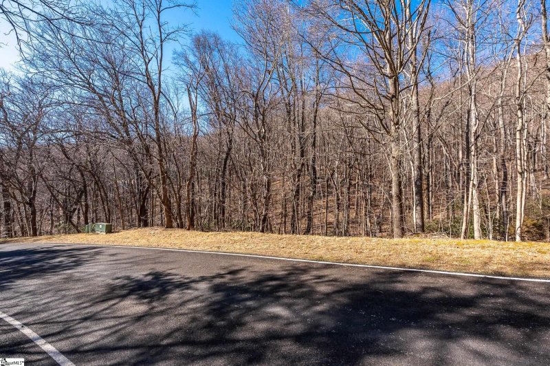 Property image 3 of 224 Southview Ledge Road in The Cliffs at Glassy, Landrum, SC 29356-3329