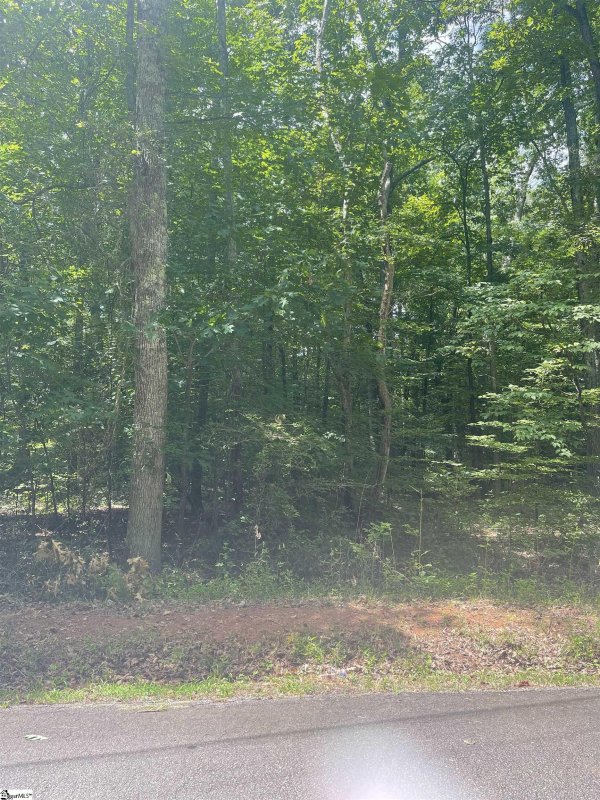 Property image 2 at 0 Manhattan Boulevard, Piedmont, SC 29763