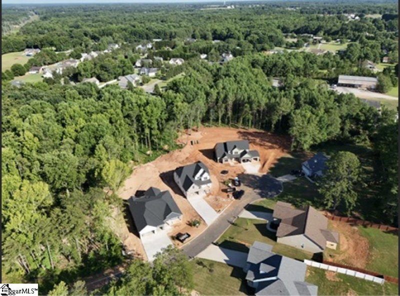 Property image 3 at 205 Wrenwood Court, Piedmont, SC 29673
