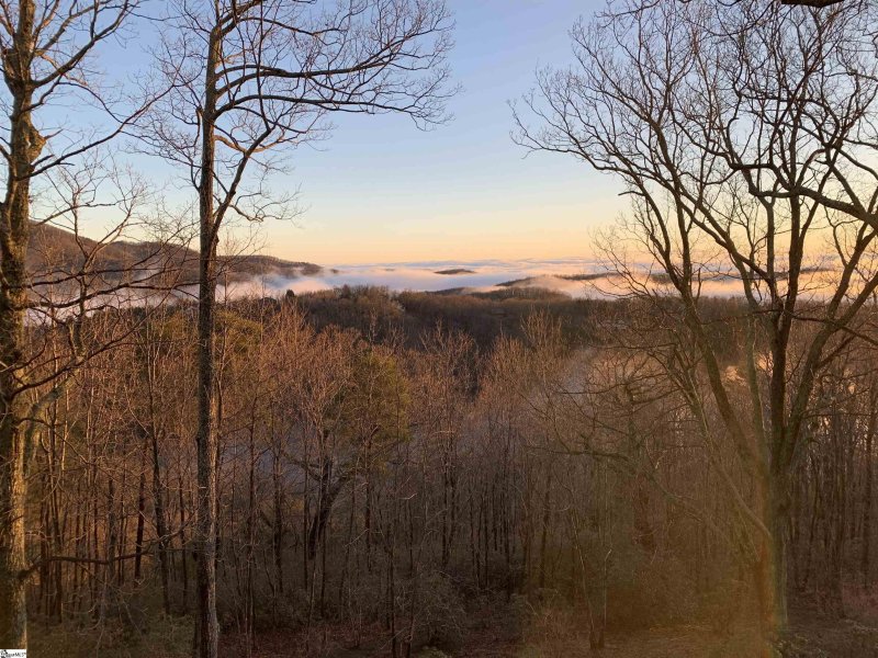 Property image 4 at 8 Goshawk Drive, Landrum, SC 29356