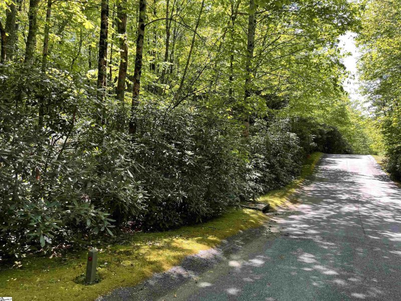 Property image 2 of 127 Conifer Falls Road in Cliff Ridge at Caesars Head, Cleveland, SC 29635