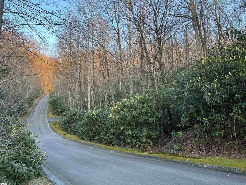 Property image 3 of 127 Conifer Falls Road in Cliff Ridge at Caesars Head, Cleveland, SC 29635