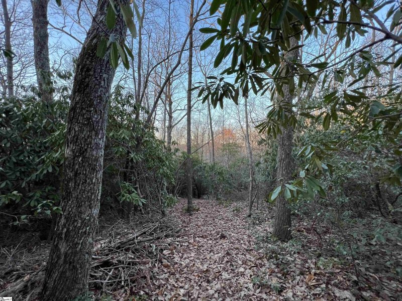 Property image 4 of 127 Conifer Falls Road in Cliff Ridge at Caesars Head, Cleveland, SC 29635