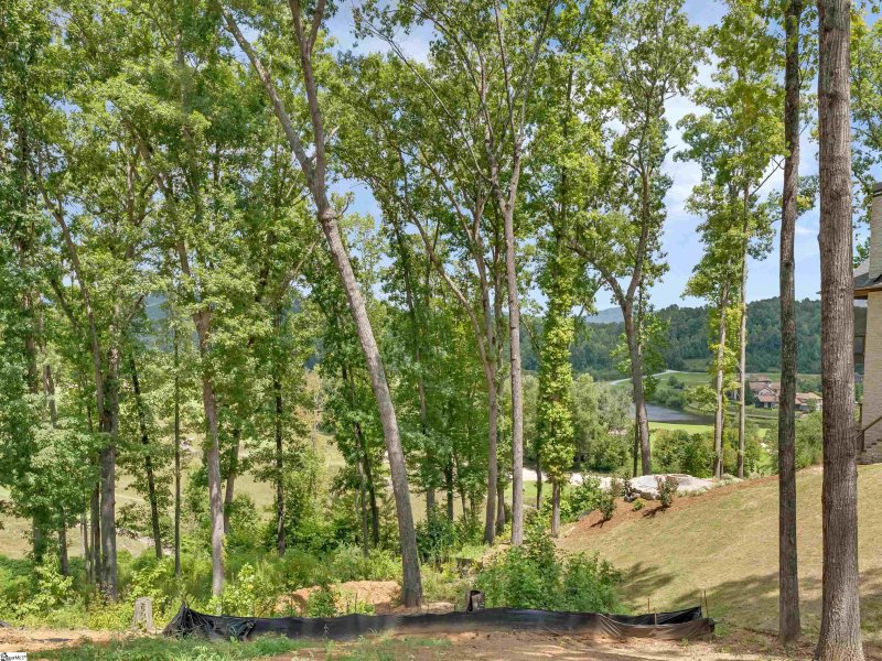 Property image 3 at 415 Golf Bridge Road, Marietta, SC 29661