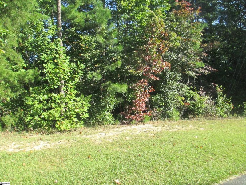 S-25 Jocassee Ridge Way