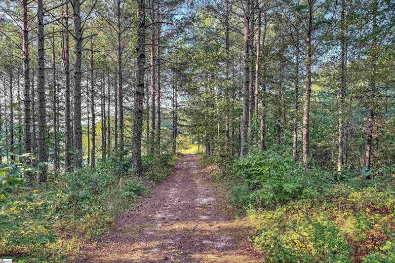 Property image 5 at 343 Keowee Avenue, Sunset, SC 29685