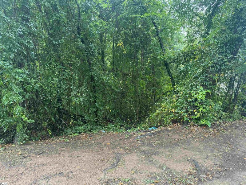 Property image 4 at 21 Shore Drive, Greenville, SC 29611