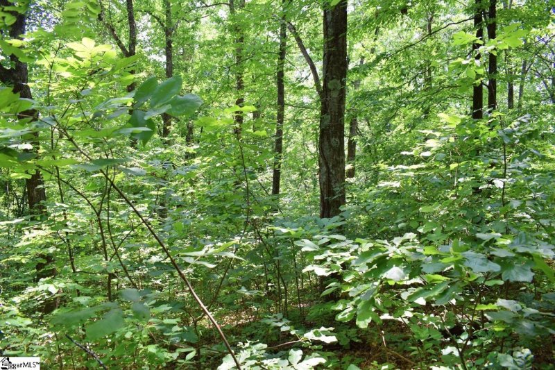 Property image 3 at 25 Day Lily Road, Landrum, SC 29356