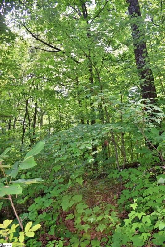 Property image 5 at 25 Day Lily Road, Landrum, SC 29356